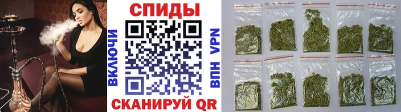 магазин продажи наркотиков  Камышин  мега рабочий сайт  Бутират буратино 