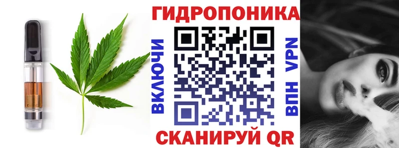 Cannafood марихуана  Камышин 