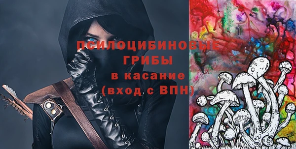 дмт Алзамай
