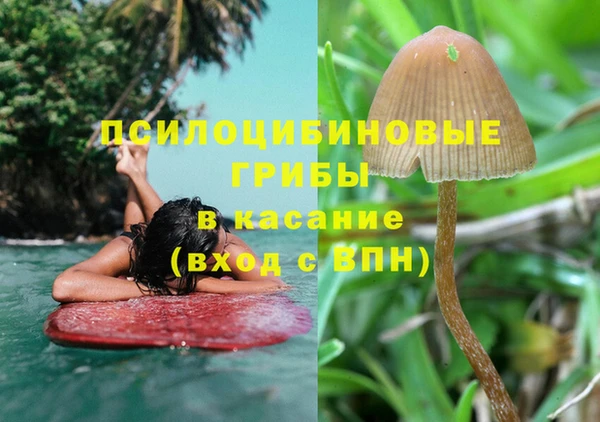 метадон Алексеевка