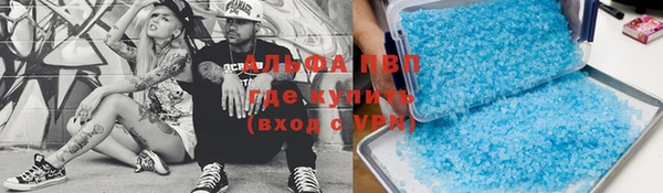 дмт Алзамай