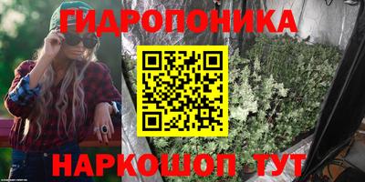 дурь Кимры