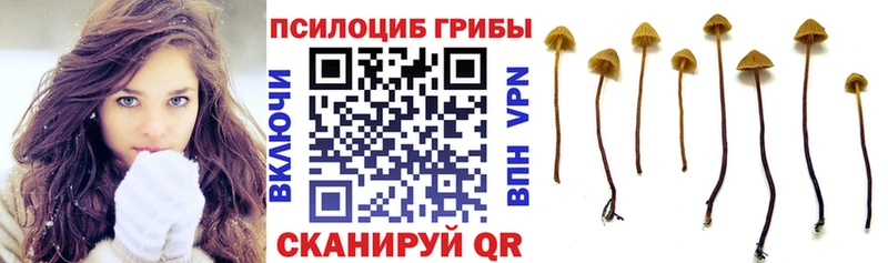 Псилоцибиновые грибы MAGIC MUSHROOMS  Камышин 