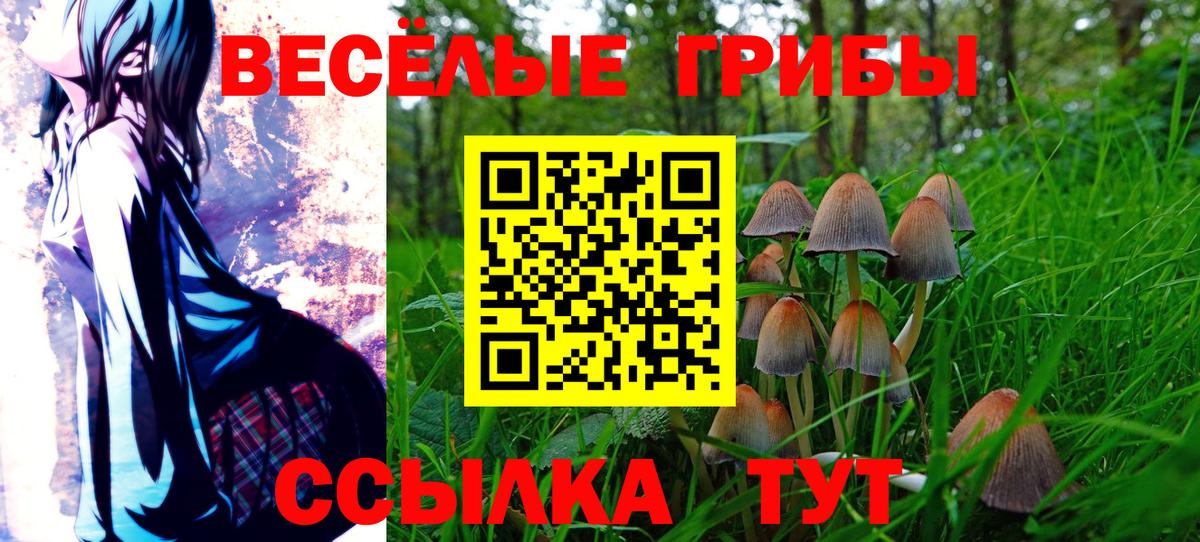 Галлюциногенные грибы MAGIC MUSHROOMS Камышин